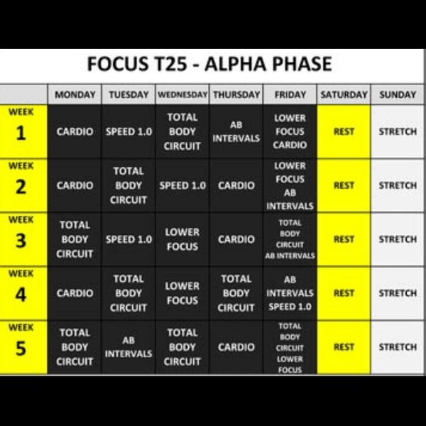 Understanding The In's and Out's Of The T25 Alpha Schedule - fit2shine
